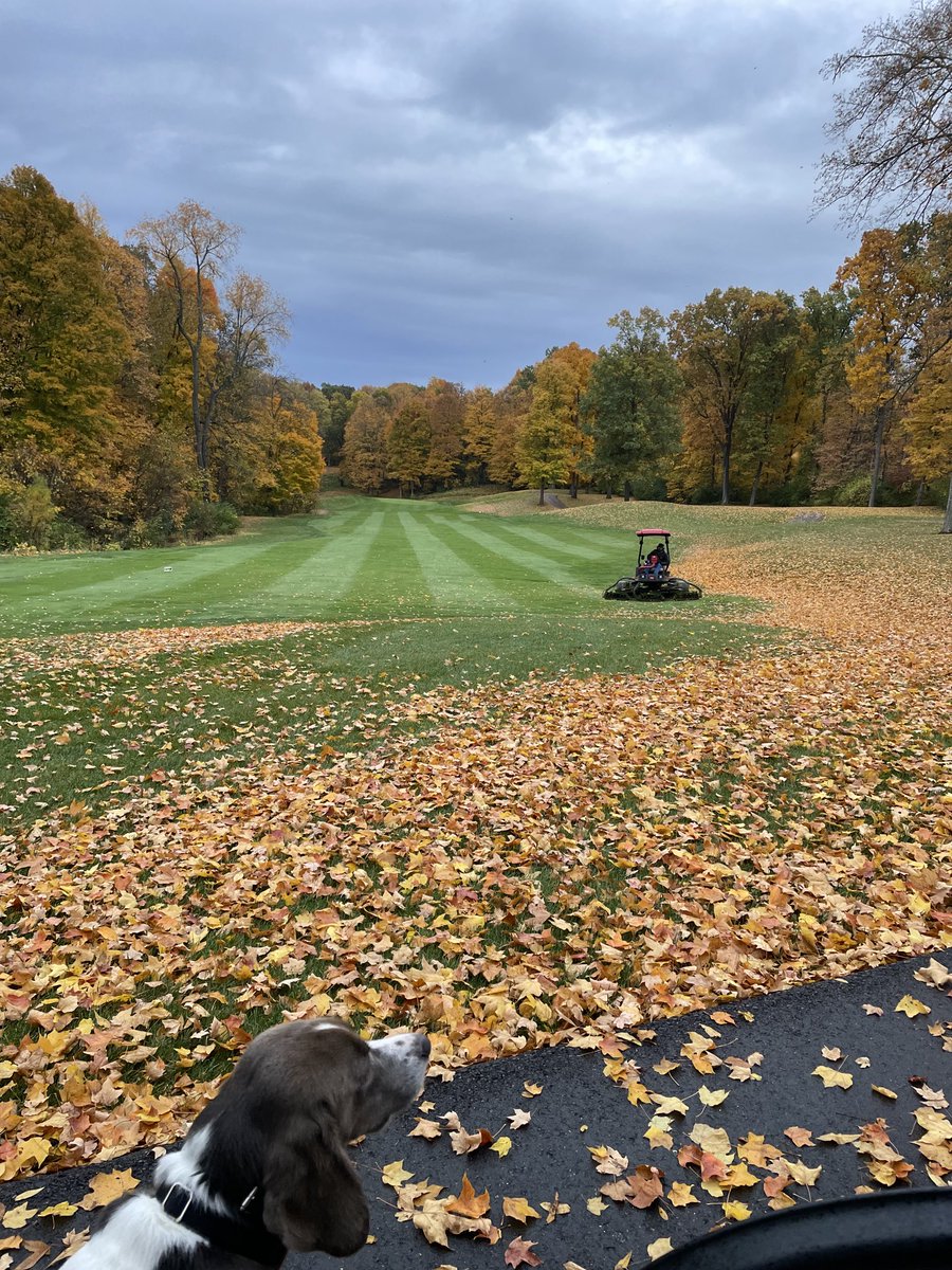 Fall Golf 🍁🍁🍁