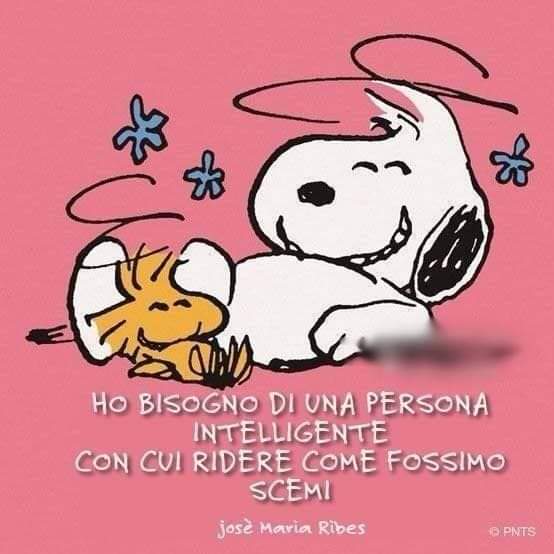 MutiCarla's tweet photo. https://t.co/UmZ89jQfee