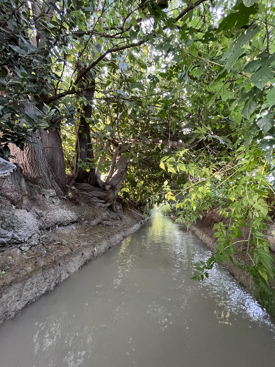 🍋 No sabíamos si la Huerta de #Murcia interesaría a alguien pero sí sabíamos lo bonita 😍 y desconocida que era. Y nos decidimos.

¿Dónde? en Twitter que no tenemos ni idea. Venga.
 
Hoy somos 10000🥂 y hemos pensado que es un buen momento para deciros,

 💚 GRACIAS 💚  😊  🙋‍♂️