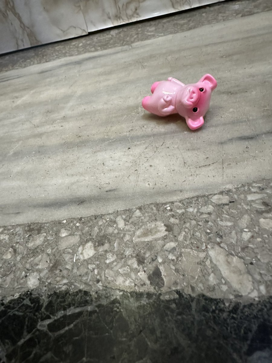 BINCHO1977's tweet photo. 酩酊わらび🐷🍶 https://t.co/DC3NdYHQlH