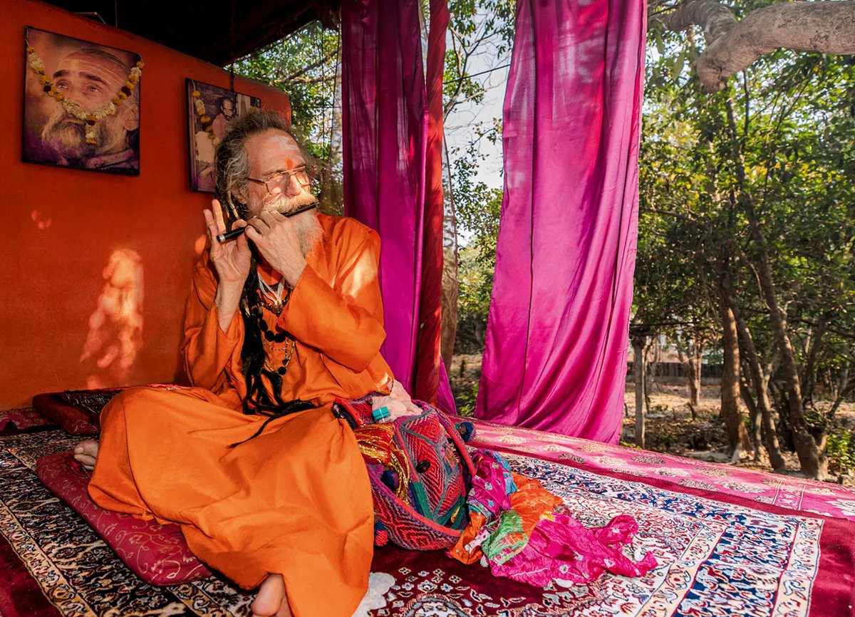 BoomFestivalOfficial tweet media