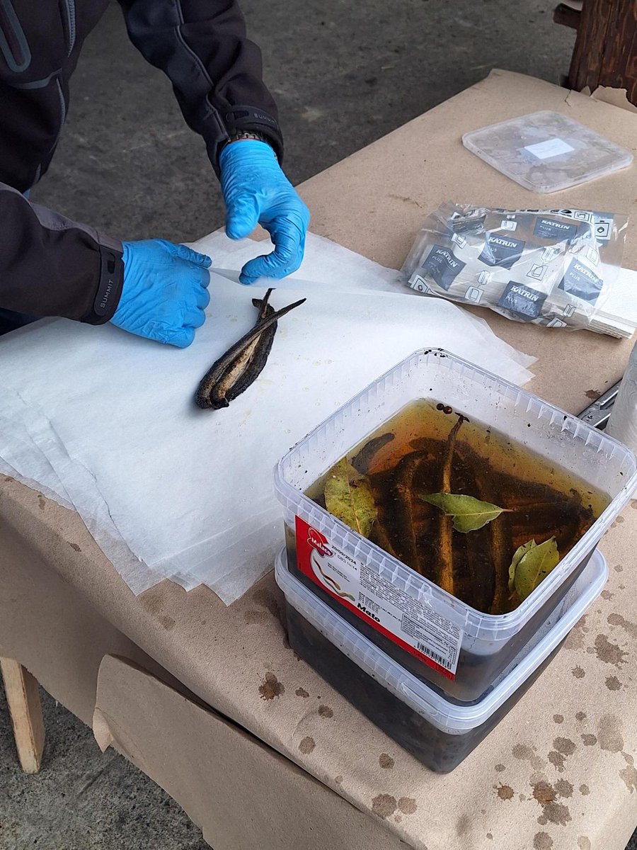 Clean_Cultures's tweet photo. Last month, VTT team had a tent in #Simo's annual lamprey market #Nahkiaismarkkinat. Lamprey catch was small this year and according to discussions, changes in local environment also included e.g. fewer sights of elks and fish. Thanks everyone for stopping by at our tent! https://t.co/PLGzpgp7S0