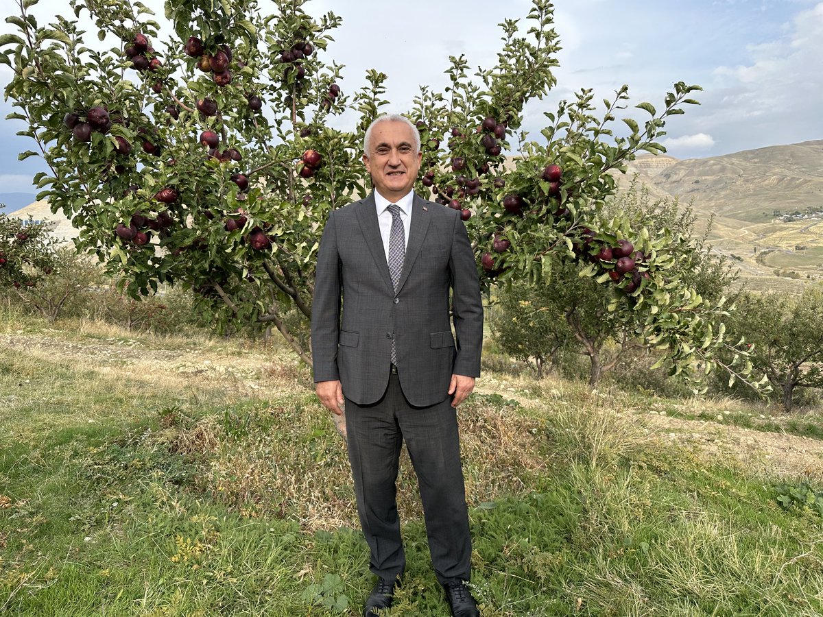 Valiavnicakir's tweet photo. Seç, beğen al. Meşhur Muş Elması.Müthiş lezzet ve aroma. https://t.co/MqL0QaqKHV