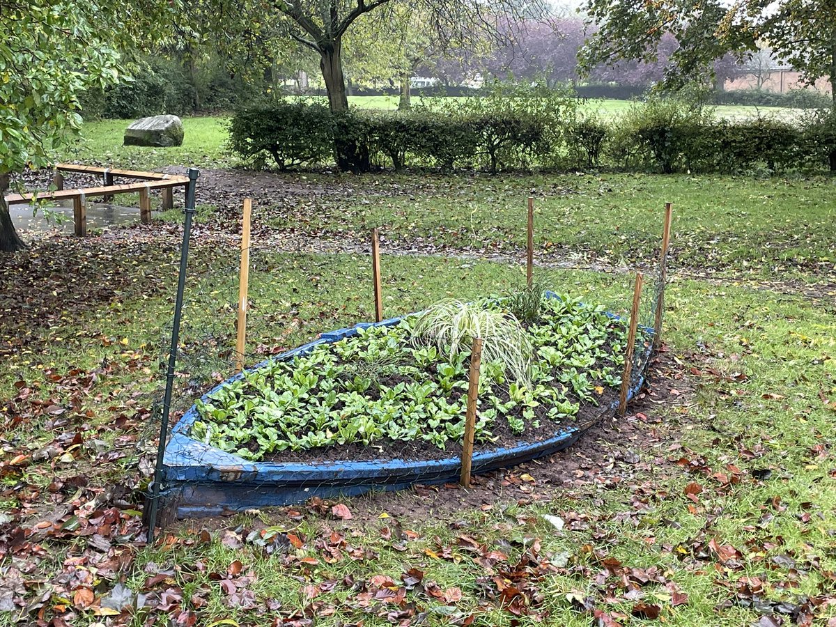 Undeterred by a misty, rainy morning the planting is finished at #Pontefract Park with @MyWakefield team supporting volunteers to complete the old rowing boats near the lake 🦢🦆🐦‍⬛ @ponteraces @ponteparkrun @PontefractCivic