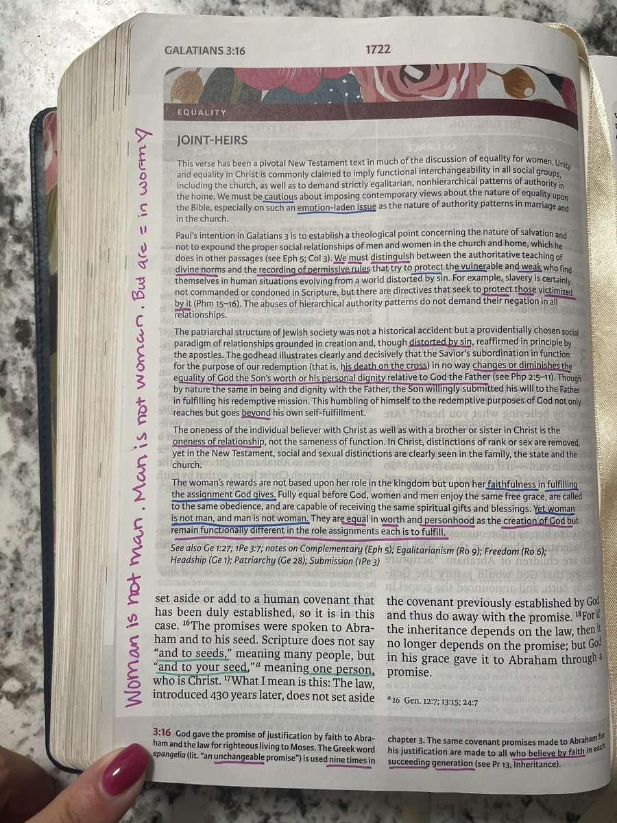 This is my fact checker 🙏 📖  ✨