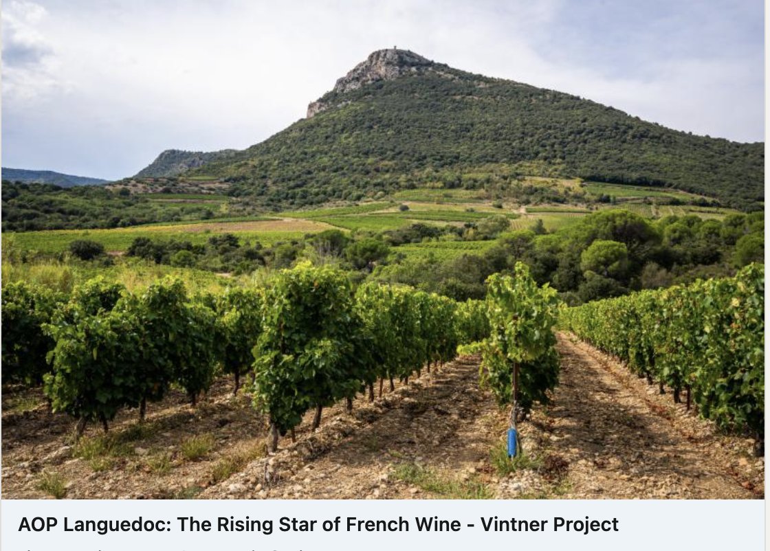🍷🇨🇵AOP Languedoc (@aoplanguedoc) on Twitter photo Thanks @vintnerproject
Uncover AOP Languedoc : A hidden gem in the wine world, bursting with history, joie-de-vivre, and innovation!
vintnerproject.com/wine/aop-langu…
<a href="/VinsduLanguedoc/">Vins du Languedoc</a>
#aoplanguedoc #wine #vin Thanks @vintnerproject
Uncover AOP Languedoc : A hidden gem in the wine world, bursting with history, joie-de-vivre, and innovation!
vintnerproject.com/wine/aop-langu…
<a href="/VinsduLanguedoc/">Vins du Languedoc</a>
#aoplanguedoc #wine #vin