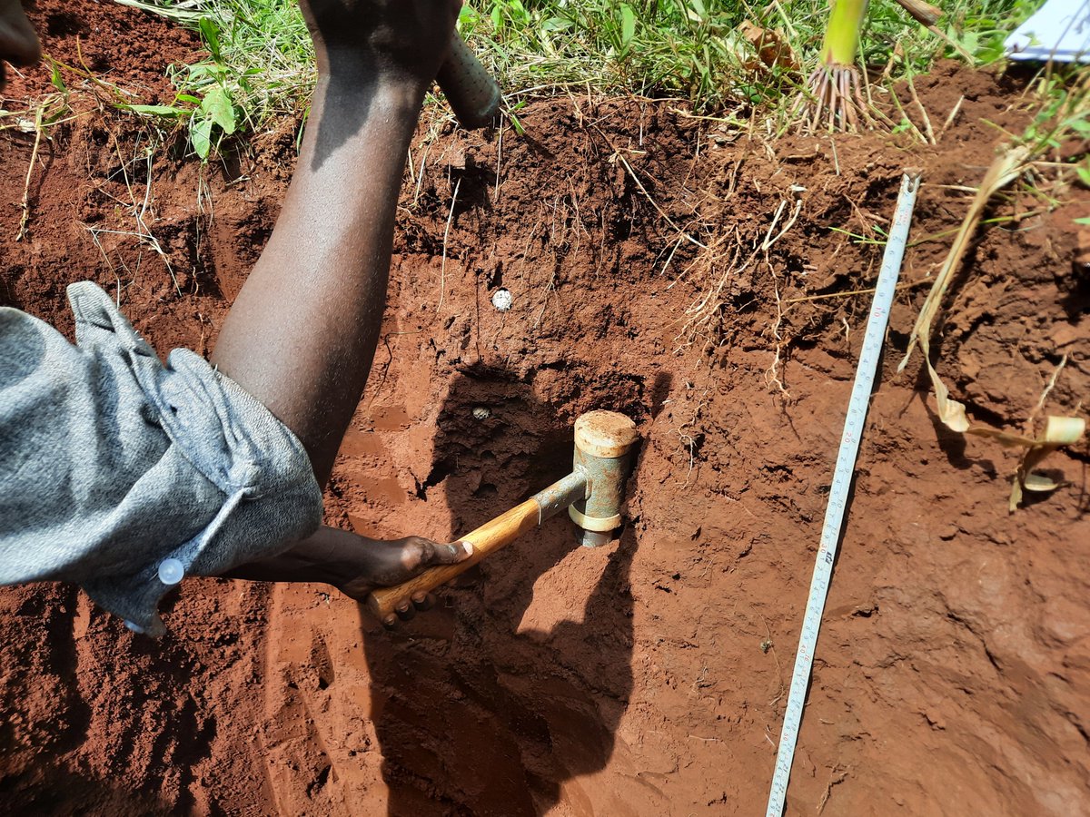 Land Soil Crop Hubs tweet media