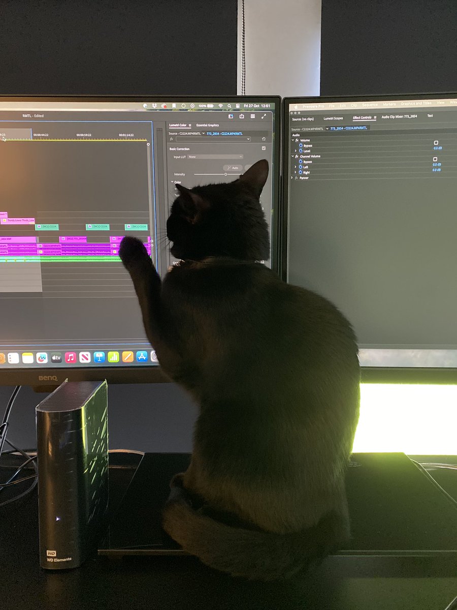 Andrew Thomas tweet media