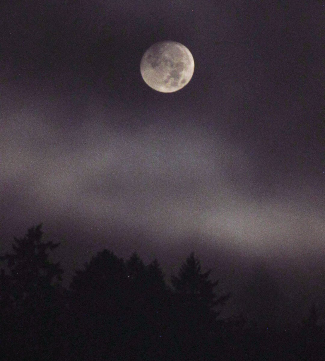 Lake Washington stratus clouds conspired with the Moon to create what might be the ultimate spooky scene at NWS Seattle this morning. #wawx