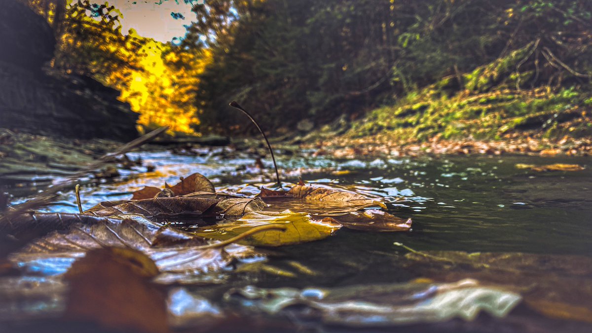 GM #photographylovers All those fall feels 🍂🍁🍂 Hope all is well friends! #beautifulday #fallfoliage #FingerLakes #flx #getoutside #goodmorning #landscapephotography #NaturePhotography #photography #photographycommunity #photographyfam #PhotographyIsArt