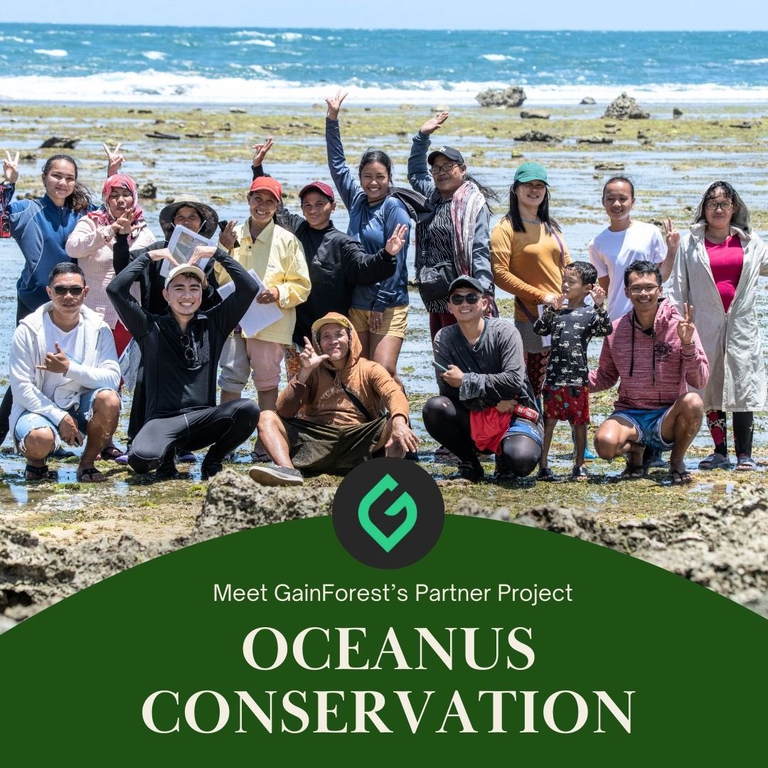 GainForestNow's tweet image. Mangrove and seagrass ecosystems are the cornerstone of @OceanusPH’s efforts. Research indicates that mangroves sequester four to five times more carbon than terrestrial forests meanwhile seagrass capture carbon 35times faster than terrestrial forest. This underscores the urgency…