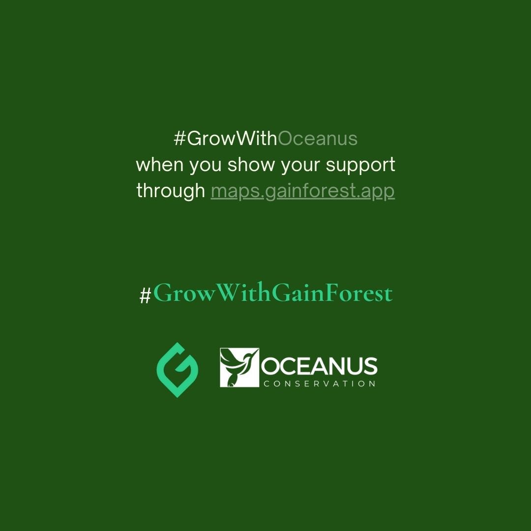 Gainforest.Earth (@gainforestnow) on Twitter photo Mangrove and seagrass ecosystems are the cornerstone of <a href="/OceanusPH/">Oceanus Conservation Philippines</a>’s efforts. Research indicates that mangroves sequester four to five times more carbon than terrestrial forests meanwhile seagrass capture carbon 35times faster than terrestrial forest. This underscores the urgency Mangrove and seagrass ecosystems are the cornerstone of <a href="/OceanusPH/">Oceanus Conservation Philippines</a>’s efforts. Research indicates that mangroves sequester four to five times more carbon than terrestrial forests meanwhile seagrass capture carbon 35times faster than terrestrial forest. This underscores the urgency