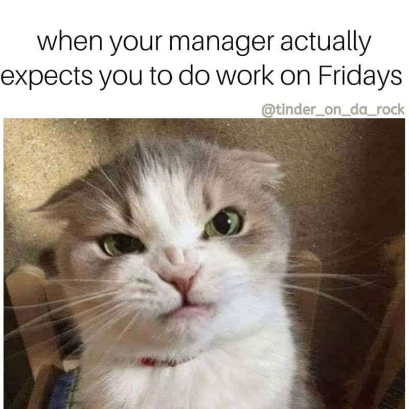 theTruistArena's tweet photo. #TGIF #WeekendsComing! https://t.co/96VJzQXxf1