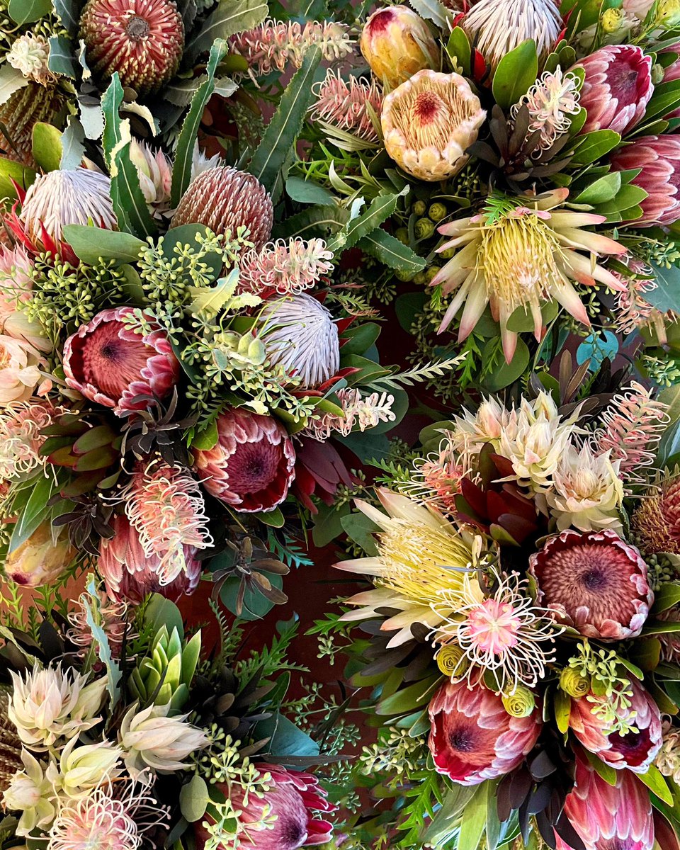 DianaR_Resendiz's tweet photo. Happy Friday! Don’t forget to add a pop of color and warm up your home with something bright, cheery and rich in texture. 🍃🌸🏡🌷🍃 #fridayfeeling #inspiredbynature #protea #cagrown #bringnatureinside https://t.co/ODCQNlJoyP