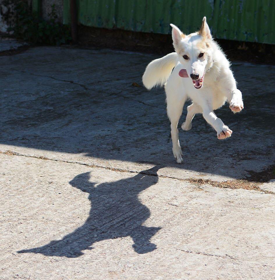 Adrian Tilsed tweet media