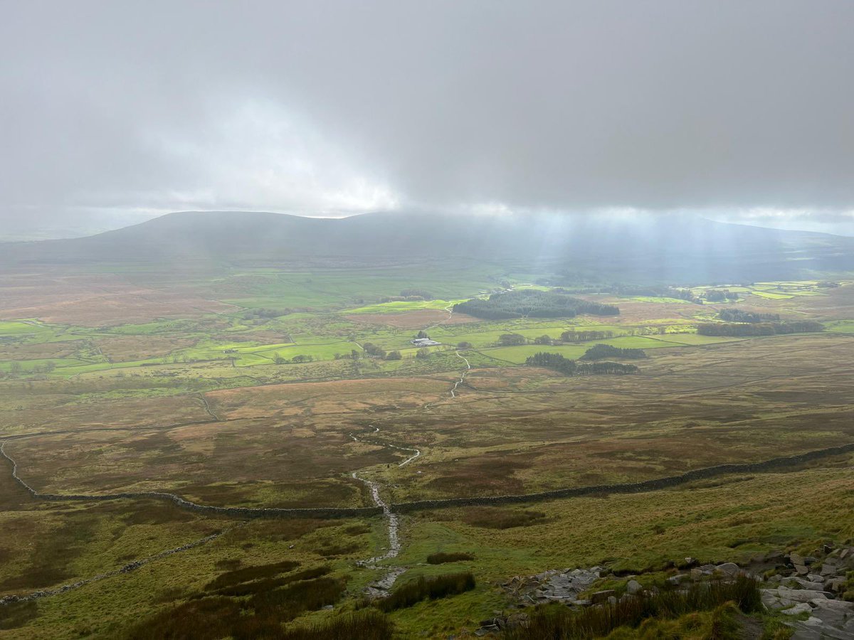 GLW Feeds Ltd tweet media