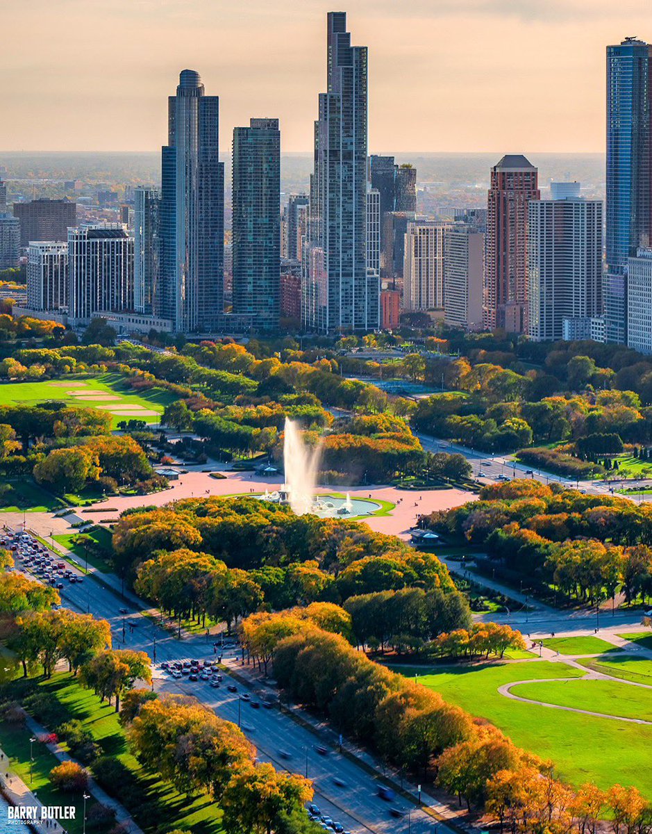 barrybutler9's tweet photo. Grant Park and golden autumn hues this week in Chicago.  #chicago https://t.co/u6Ug6aIi6k