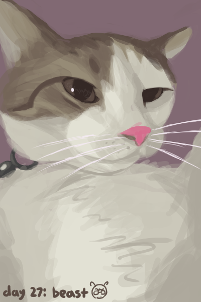 Catnip0verdose's tweet photo. the beast!! she belongs to @Daystar425 https://t.co/172iDqu15P