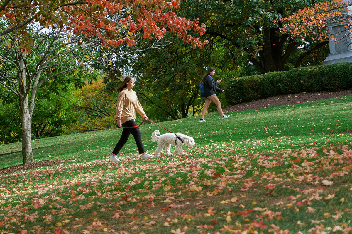 daymag's tweet photo. In our opinion, Fall is just the best. We have our reasons. πππ #FlyerEye πΈ: Shravanth Reddy Reddy '24 https://t.co/tVDyl5KFEo