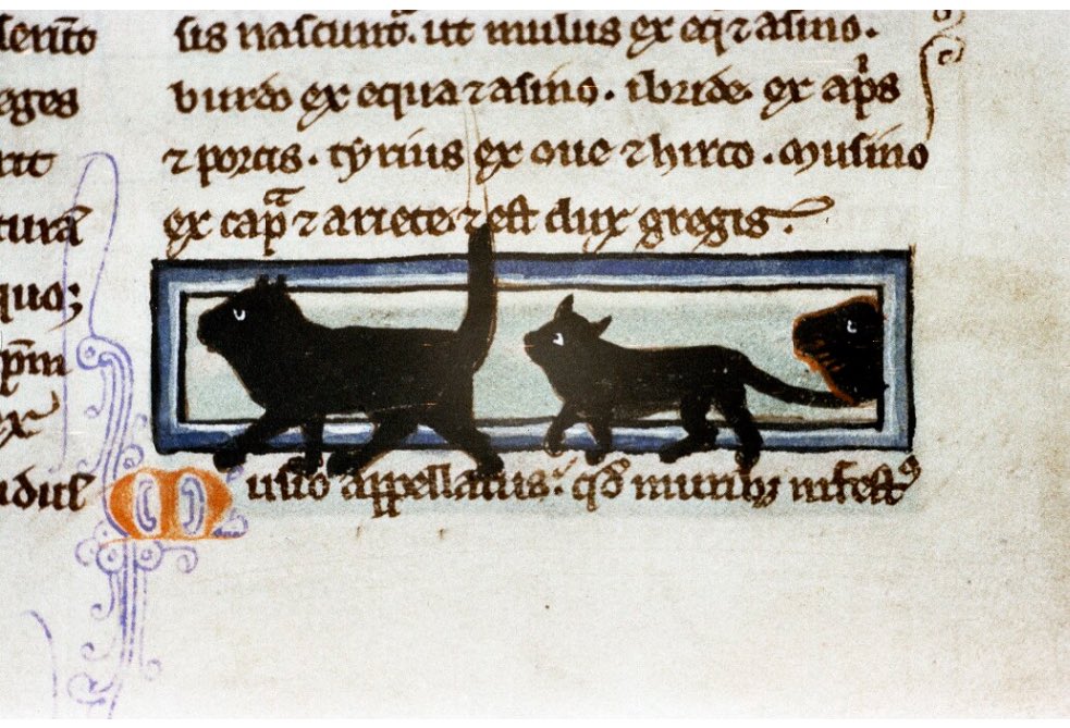 Bodleian Libraries tweet media