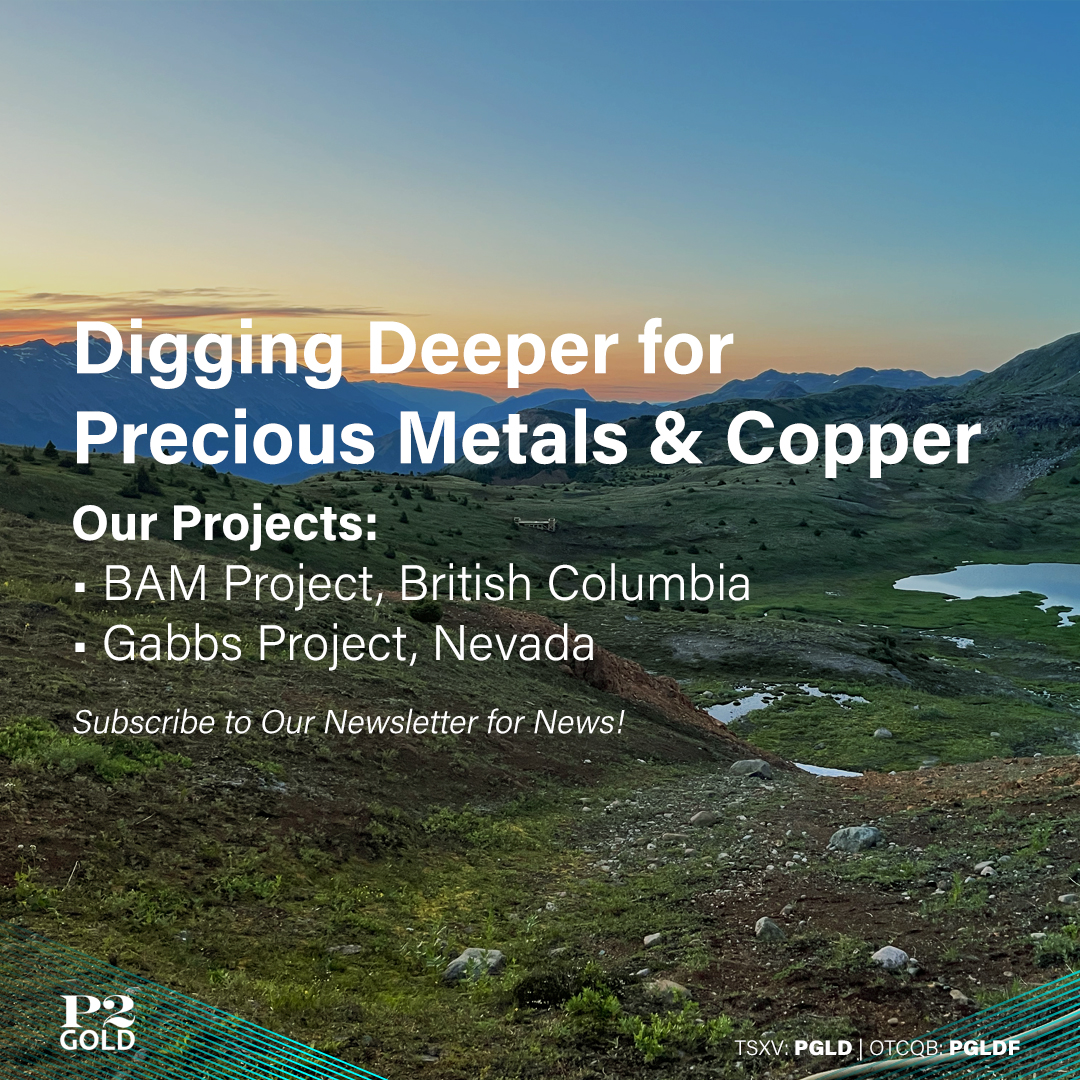 Do you want to stay updated on #P2Gold's gold and copper exploration in Nevada and British Columbia?📧⛏️

Subscribe to our newsletter today: loom.ly/BeCvGX

#TSX #TSXV $PGLD $PGLD.V #OTCQB $PGLDF