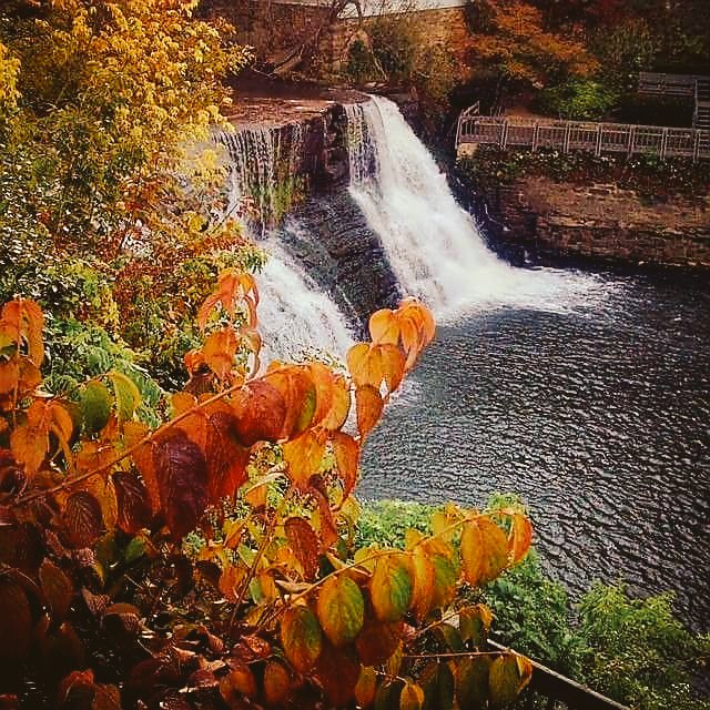 From The Morning Trails
#ChagrinRiver #ChagrinFalls
#MyHometown❤️ #SmallTownUSA🇺🇸 
#Fall2023🍁