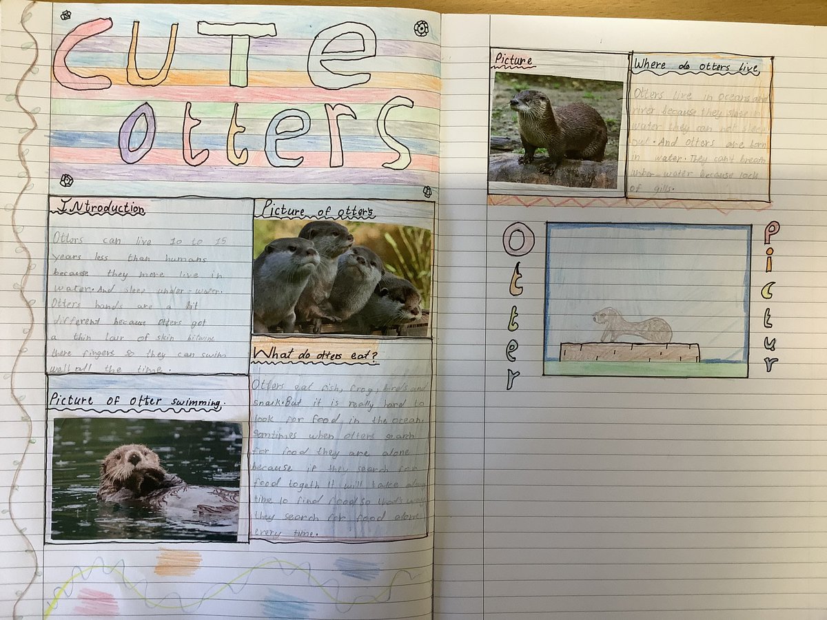 5B have blown me away with amazing presentation of their non-chronological reports this week. They worked very hard to research, plan and draft before producing their final piece. Here are just some examples <a href="/paganelschool/">Paganel Primary</a> <a href="/brinkworth_miss/">MissBrinkworth</a>