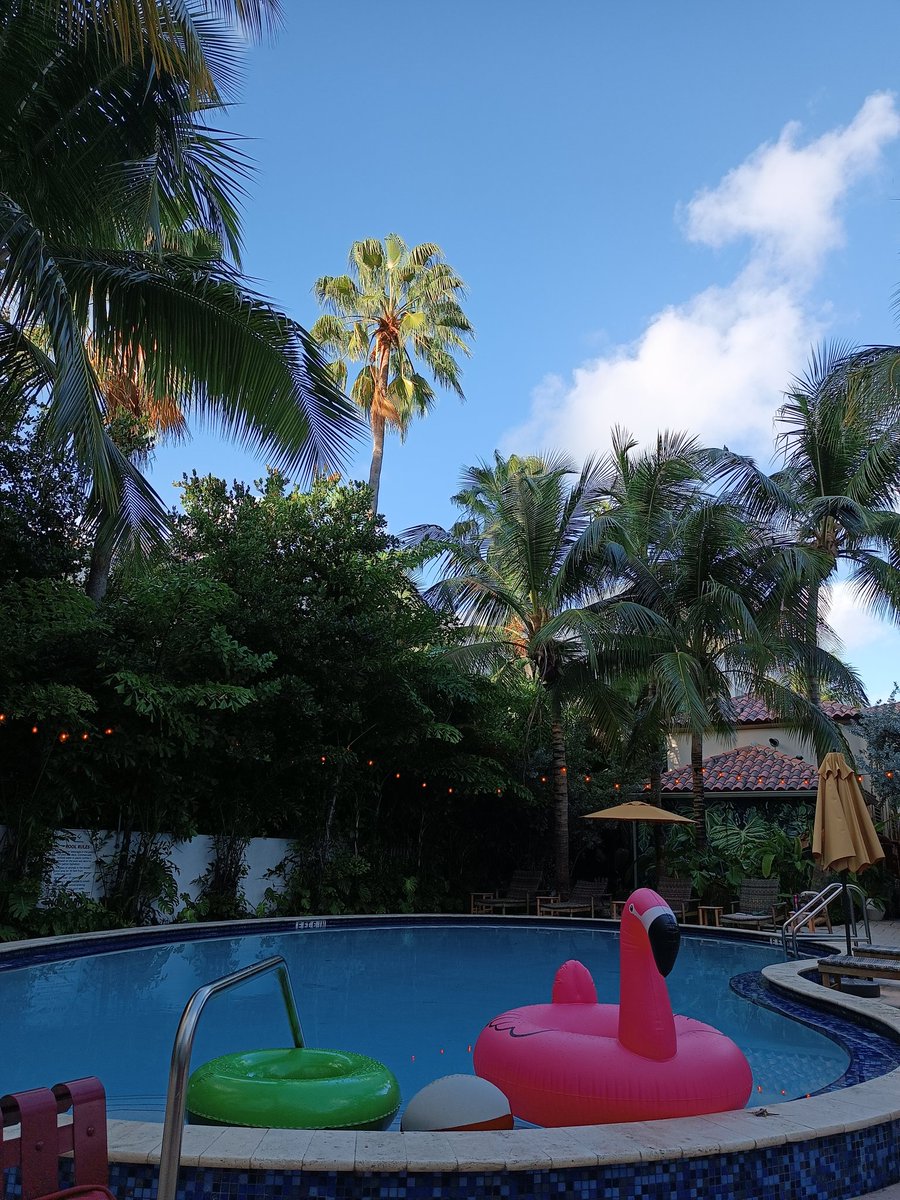 Textonality's tweet image. The beauties of remote work.

Today, Miami.
