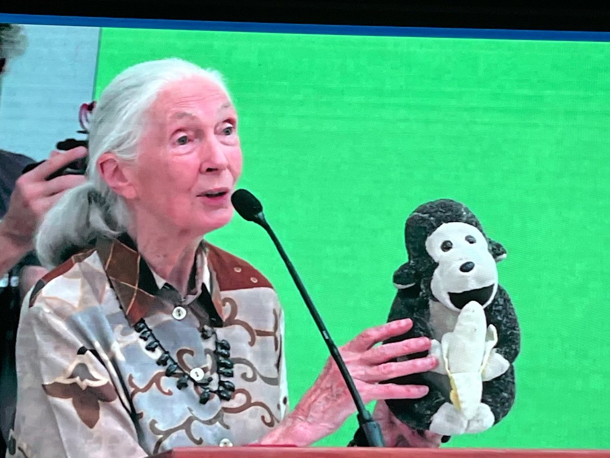 keithmartinmd's tweet photo. As always, Dr. Goodall inspired &amp; challenged us at ⁦@the_IDB⁩ #IDBKnowledgeWeek to implement what we know can improve our environment  and the well being of people. Two examples, ⁦Roots and Shoots &amp; Tacare. Cc ⁦@JaneGoodallInst⁩ ⁦@JaneGoodallUK⁩ ⁦ https://t.co/6xpThy1Knl