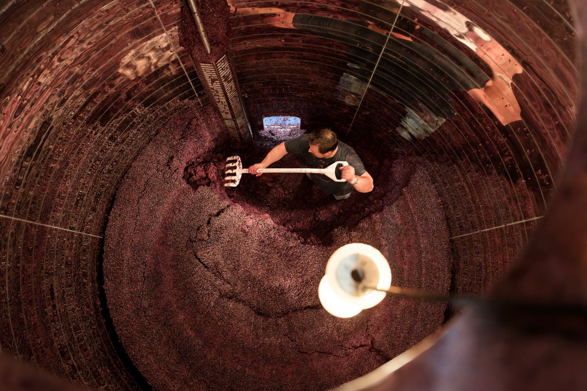 Scene in the vat room.
Chai en scène.

© Anne Lanta