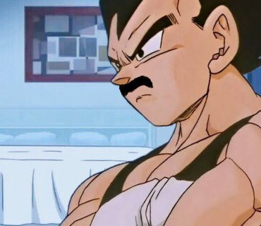 Vegetaprnce's tweet image. Perhaps a shave is in order..