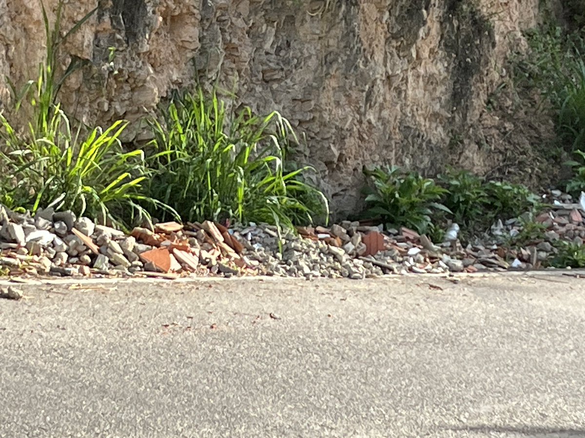 cpt1605's tweet photo. @AlcaldiaBaruta @darwingonzalezp  este derrumbe en la carretera vieja de Las Minas ya tiene meses allí y la gente lo está usando para dejar sus desechos. Queda frente a nuestra empresa lo que nos ocasiona problemas. Cuando podrían venir a resolver esto? Gracias https://t.co/11NOv8ql0d