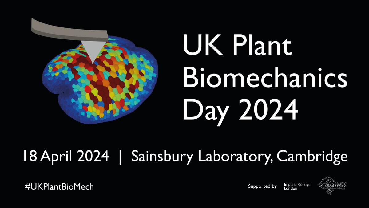 Sainsbury Laboratory Cambridge University (SLCU) (@slcuplants) on Twitter photo Calling all UK-based plant mechanics & mechanobiology researchers 🍃 Please join us for the inaugural UK Plant Biomechanics Day on 18 April 2024 in Cambridge! Organised by <a href="/RobinsonSci/">Sarah Robinson</a> <a href="/slcuplants/">Sainsbury Laboratory Cambridge University (SLCU)</a> & <a href="/nakayama_naomi/">Naomi Nakayama</a> <a href="/imperialcollege/">Imperial College London</a>
➡️slcu.cam.ac.uk/uk-plant-biome…
#UKPlantBioMech Calling all UK-based plant mechanics & mechanobiology researchers 🍃 Please join us for the inaugural UK Plant Biomechanics Day on 18 April 2024 in Cambridge! Organised by <a href="/RobinsonSci/">Sarah Robinson</a> <a href="/slcuplants/">Sainsbury Laboratory Cambridge University (SLCU)</a> & <a href="/nakayama_naomi/">Naomi Nakayama</a> <a href="/imperialcollege/">Imperial College London</a>
➡️slcu.cam.ac.uk/uk-plant-biome…
#UKPlantBioMech