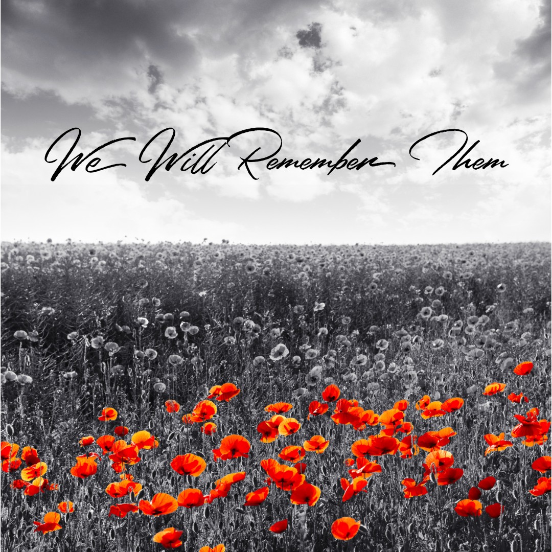 George's Windmills remembers and honours all those who made the ultimate sacrifice. Thank you for your service.

#remembranceday #remembrance #11thnovember #poppies #wewillrememberthem