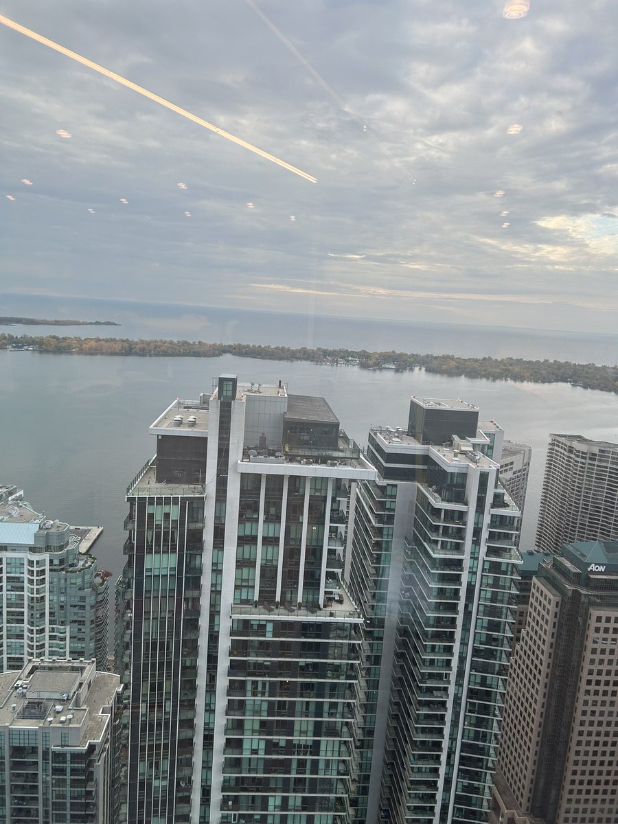 DLL Year 3 here I come!!! @TDSB_DLL