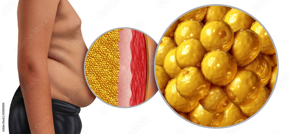 AskCoachKev's tweet image. 23 rapid-fire tips to shrink your belly in 30 days:

#1. Do one 24-hour fast each week

#2. Do 30 minutes of fasted cardio 2x per week

#3. Hit 50% of your protein goal in your first meal

#4. Stop drinking alcohol. (this should be #1)

#5. 90% of your food should be steak, eggs,…