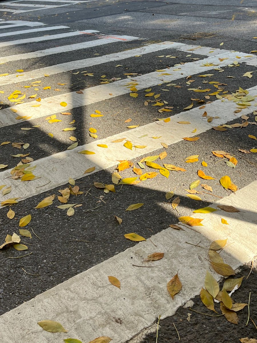 pink_aa21's tweet photo. It's late autumn soon? https://t.co/NSZOPGPoyK
