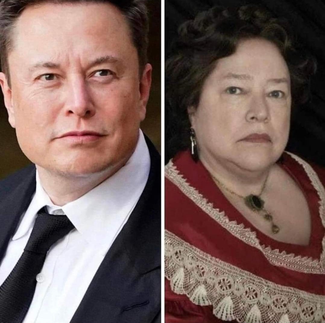 MAVERICK X tweet media