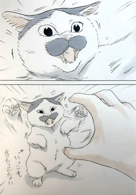 まいにちノリ吉