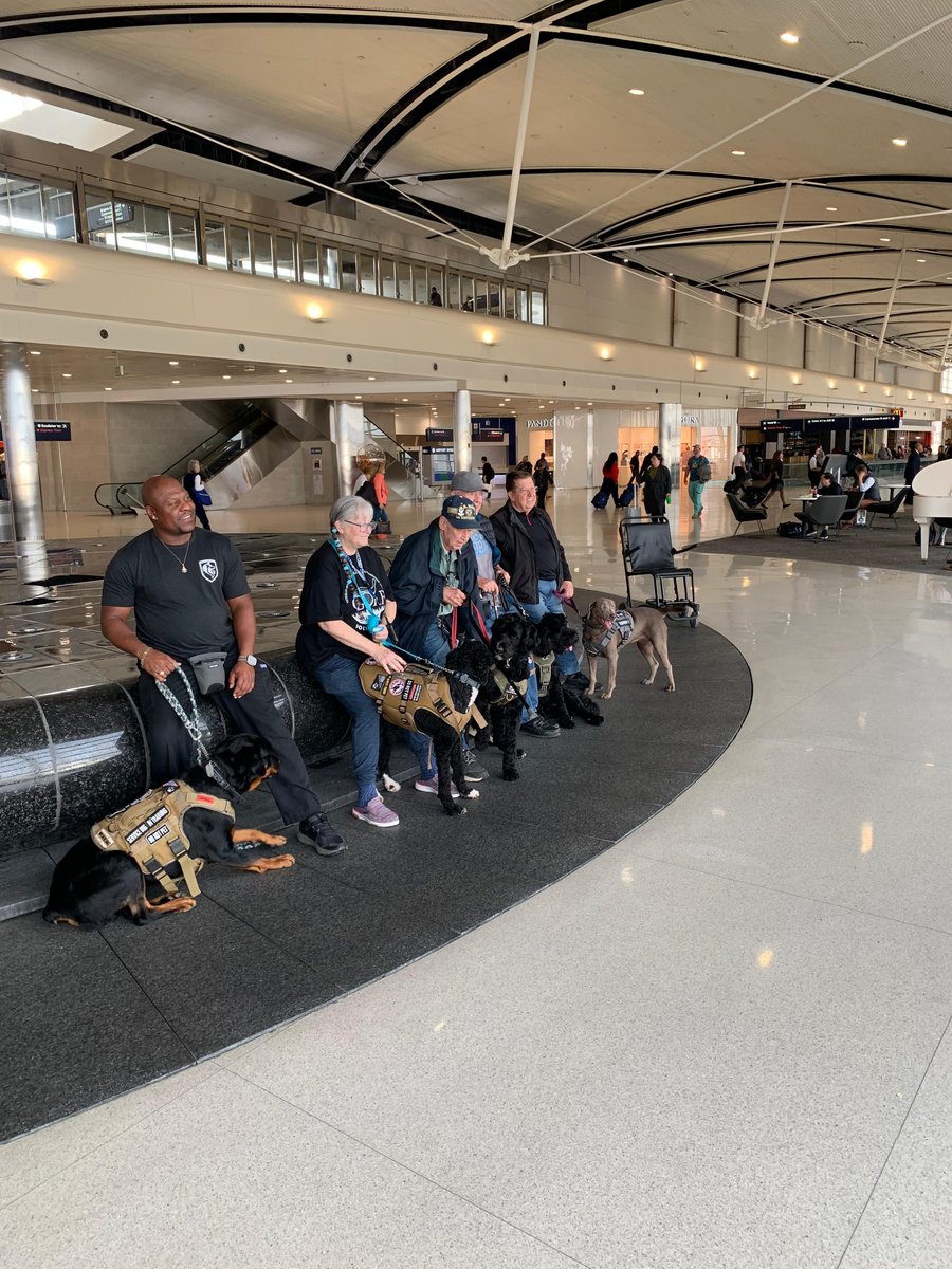 Detroit Metro Airport welcomed Veteran Service Dogs for a training event at the McNamara Terminal. The organization provides service animals to US Military veterans. The training of each dog is tailored to the veteran in need. ow.ly/gKXt50Q16MG