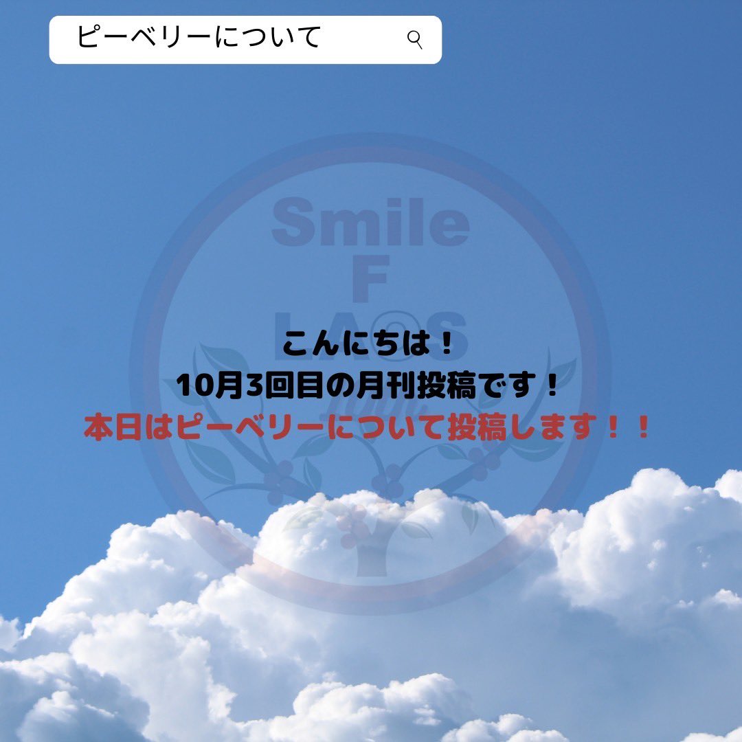 Smile_F_LAOS's tweet photo. 📢月刊投稿📢

こんばんは！
肌寒い日が増えて参りましたが、いかがお過ごしですか？

10月3回目の月刊投稿です👀

今週は、ピーベリーについて投稿します！ピーベリーはとても希少な豆で一本の木から5%しかとれない豆です🫘

今週もご覧頂きありがとうございました☺️来週もぜひご覧下さい✨ https://t.co/leaRa4LbhJ