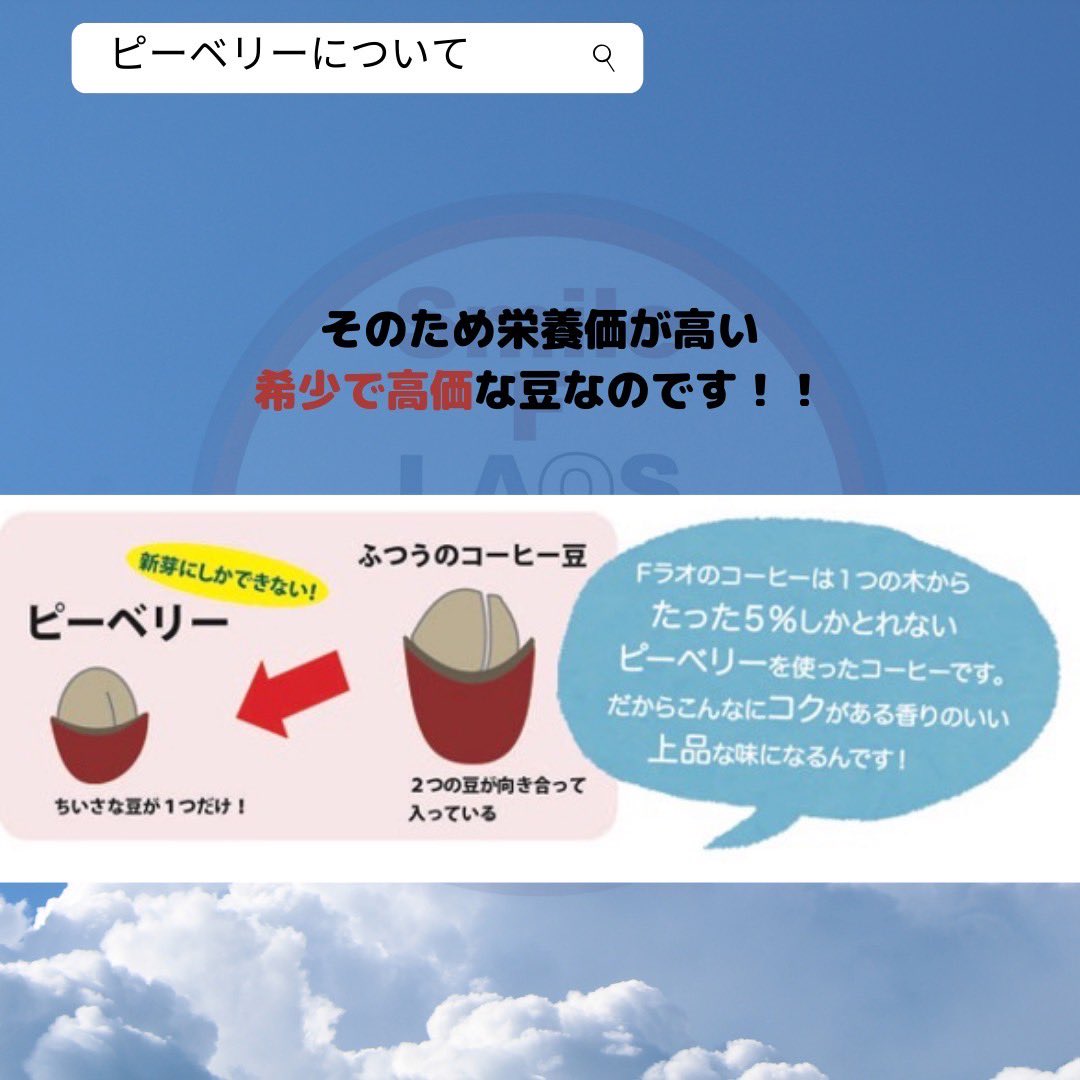 Smile_F_LAOS's tweet photo. 📢月刊投稿📢

こんばんは！
肌寒い日が増えて参りましたが、いかがお過ごしですか？

10月3回目の月刊投稿です👀

今週は、ピーベリーについて投稿します！ピーベリーはとても希少な豆で一本の木から5%しかとれない豆です🫘

今週もご覧頂きありがとうございました☺️来週もぜひご覧下さい✨ https://t.co/leaRa4LbhJ