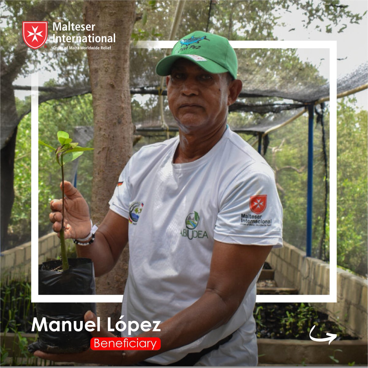 MalteserAmerica's tweet photo. Manuel, works every day planting mangroves in the #CiénagaGrandedeSantaMarta, his commitment is vital for a sustainable future. thanks to the support of @BMZ_Bund and @Abiudea. 🌱
-
Manuel, trabaja cada día sembrando y mangles, su compromiso es vital para un futuro sostenible. 🌱 https://t.co/MGCe7D6wex