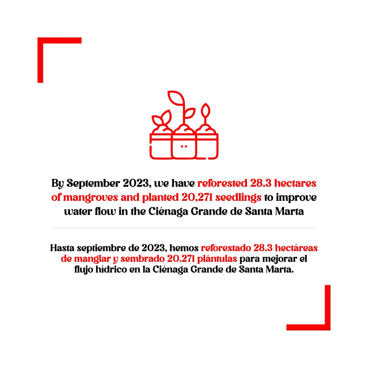 Manuel, works every day planting mangroves in the #CiénagaGrandedeSantaMarta, his commitment is vital for a sustainable future. thanks to the support of <a href="/BMZ_Bund/">Bundesentwicklungsministerium</a> and <a href="/Abiudea/">Abiude do swgue  ad</a>. 🌱
-
Manuel, trabaja cada día sembrando y mangles, su compromiso es vital para un futuro sostenible. 🌱
