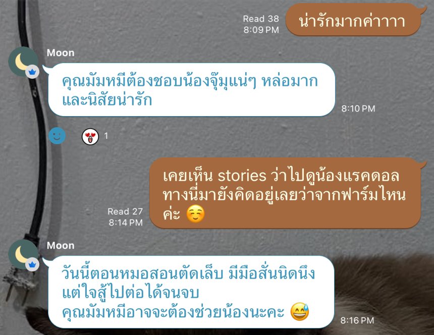 🥹🥹🥹 คุณพ่อ จมน ฝึกตัดเล็บ ให้ลูกชาย

Welcome Lord Jumu
#ท่านลอร์ดจุ๊มุของแด๊ดเจมีไนน์
#Gemini_NT #เจมีไนน์