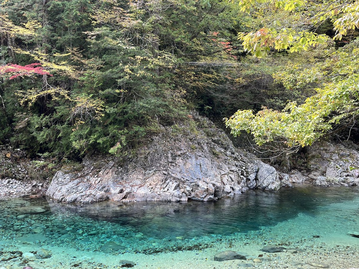 honobonosnow's tweet photo. 阿寺渓谷、色付き始めました。 https://t.co/3MajfyfTjp