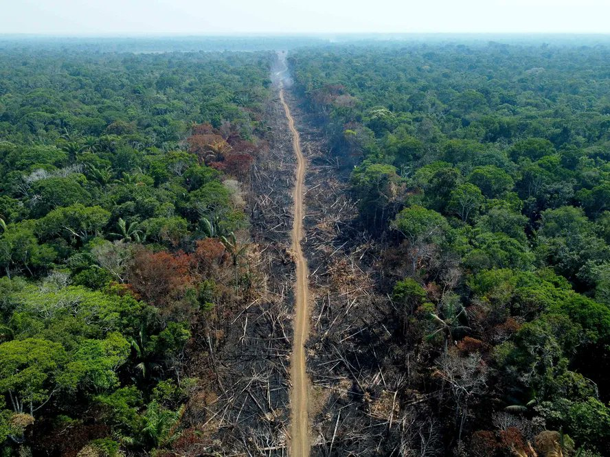🚨 Researchers at INPE fear a halt in deforestation monitoring  The program that maintains professionals/researchers responsible for monitoring Brazilian biomes expires on October 31st and has not been renewed to date. #renovaPRODES

<a href="/LulaOficial/">Lula</a>
<a href="/GretaThunberg/">Greta Thunberg</a>
<a href="/LeonardoDiCaprp/">leonardo DiCaprio</a>