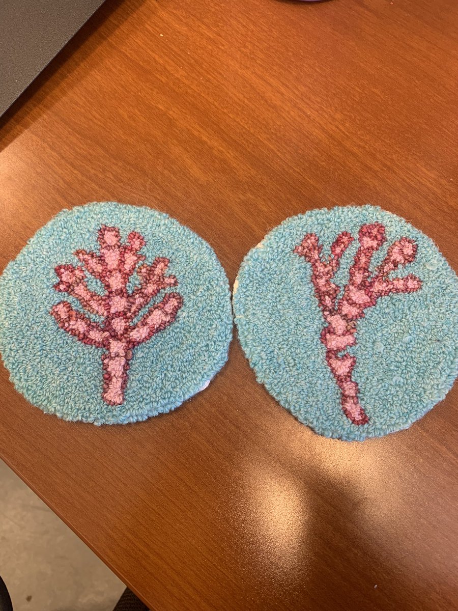 Bittersweet last day @UBCBotany as a postdoc. The last 2+ years in the @Martonelab have been wonderful; surrounded by amazing scientists & people who enjoy seaweeds as much as I do has been the best. All topped off with these handmade cup cuddlers & mug rugs.