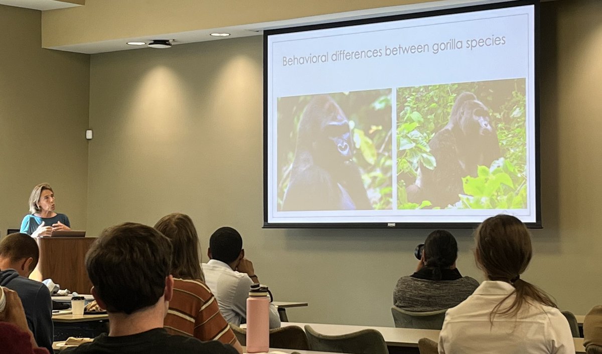 SouthEasternEHB's tweet photo. Our keynote speaker, Dr. @RobertaSalmi wrapped up #SEEHB2023 with her talk about how variation in environment and ecology impacts behavioral flexibility in gorilla vocal communication and spatial use https://t.co/wfthHfVZV1