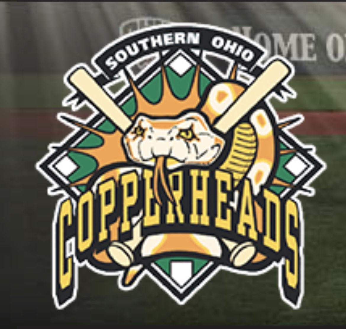 Adam_Wandzel's tweet photo. Looking forward to spending my summer in Athens, Ohio with the @Copperheads in the @GLSCL!!! https://t.co/UH6X6wL75t
